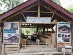 Reforma Agraria Buka Akses Warga Desa Nunuk Baru untuk Jalankan Usaha Ternak Domba