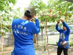 Bukan Hanya bagi Petani, Kampung Reforma Agraria Desa Duyu Juga Bantu Ekonomi Warga Sekitar
