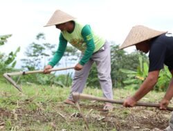 Konflik Belasan Tahun Berakhir, Sertipikat Redistribusi Tanah Buka Jalan Pemulihan Ekonomi Desa Soso