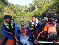 Buaya Terkam Bocah di HALSEL, Tim SAR Gabungan Lakukan Pencarian