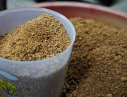 Lewat Pendampingan Usaha Gula Semut, Reforma Agraria Bangkitkan Kemandirian Ekonomi Desa Hargorejo di Kulon Progo