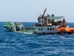 KM Garda Nusantara 17 Karam di Perairan Ternate, 7 Orang Kru Berhasil Dievakuasi 