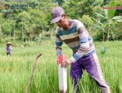Pasang Patok, Cara Sederhana Cegah Sengketa Tanah dengan Tetangga