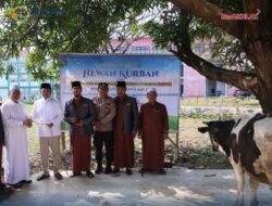 Semarak Iduladha 1447 H, Menteri Nusron Salurkan Hewan Kurban ke Pondok Pesantren Attaqwa