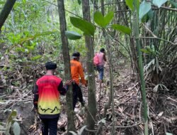 Warga Halut Hilang di Hutan Sukamaju, Tim SAR Gelar Operasi Pencarian